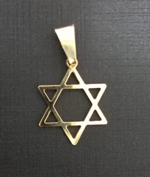 208.72 ESTRELA DE DAVI P 43,00