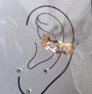 308.20 PIERCING DE CARTILAGEM ARGOLA