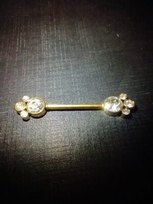 26.189 -  PIERCING DE AÇO PATINHAS DE LUZ