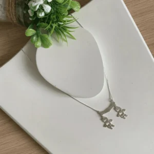 218.68 - COLAR DE PRATA FILHOS(A)